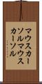 マウスカーソル Scroll