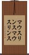 マウスリンス Scroll
