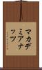 マカデミア・ナッツ Scroll