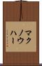 マクノウハー Scroll