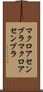 マクロアセンブラ Scroll