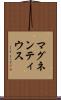 マグネンティウス Scroll