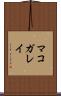 マコガレイ Scroll