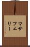 マサフェリー Scroll
