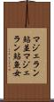 マジェラン鮎並 Scroll