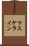 マスケライン Scroll