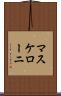 マスケローニ Scroll