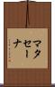 マタセーナ Scroll