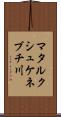 マタルクシュケネブチ川 Scroll