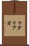 マダリアガ Scroll
