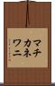 マチカネワニ Scroll