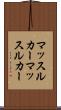 マッスルカー Scroll