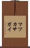 マツカサガイ Scroll