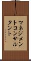 マネジメントコンサルタント Scroll