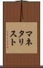 マネタリスト Scroll