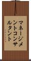 マネージメントコンサルタント Scroll