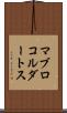 マブロコルダートス Scroll