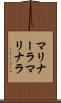 マリナーラ Scroll