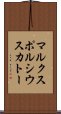 マルクスポルシウスカトー Scroll
