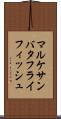 マルケサンバタフライフィッシュ Scroll