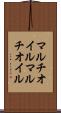 マルチオイル Scroll