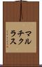 マルチクラス Scroll