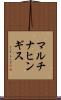 マルチナヒンギス Scroll