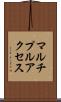 マルチプルアクセス Scroll