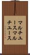 マルチユース Scroll