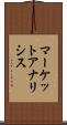 マーケットアナリシス Scroll