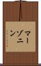 マーゾニン Scroll