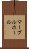 マーブルホール Scroll