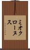ミオクローヌス Scroll