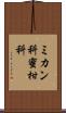 ミカン科 Scroll