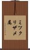 ミツクリザメ属 Scroll