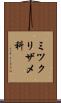ミツクリザメ科 Scroll