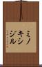 ミノキシジル Scroll