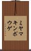 ミヤマキンポウゲ Scroll