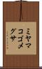 ミヤマコゴメグサ Scroll