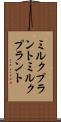 ミルクプラント Scroll