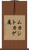 ムカシトカゲ属 Scroll