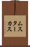 ムスターカス Scroll