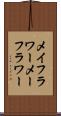 メイフラワー Scroll