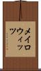 メイロウィッツ Scroll