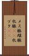 メス豚 Scroll