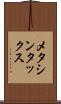 メタシンタックス Scroll