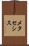メタセシス Scroll