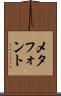 メタフォント Scroll