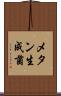 メタン生成菌 Scroll