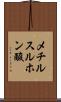 メチルスルホン酸 Scroll